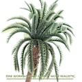 Miniatyrbillede 2 af 4: 10 stk. Rainforest Plastik Palme Træ Model Layout Rekvisitter Tropisk Landskab DIY Håndlavet Materiale Mini Kokospalme Model Grøn (16CM, 13CM, 10CM, 8CM, 7C