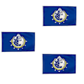 Miniatyrbillede 1 af 5: Super Earth Flag Udendørs Indendørs Dekorativt Flag Polyester med Messingøjer