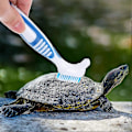 Miniatyrbillede 3 af 3: 2 stk. Akvatisk Skildpadde Skjold Rensebørste Skaller Mudder Fjerningsbørste Snavs Fjerner