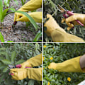 Miniatyrbillede 4 af 5: /#/Gule damehavehandsker, langhærmede havehandsker, lange ærmer/#/