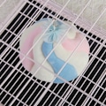 Miniatyrbillede 4 af 8: #L, Dyrenes rede, lille dyre rede, hamster rede til at holde varmen#
