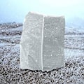 Miniatyrbillede 2 af 5: *Plante vinter slør, oliventræ vinter slør, træ vinter slør, toma*