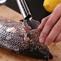 Miniatyrbilde 5 av 5: Fisk Skala Skraper, 304 Rustfritt Stål Fisk Skalerer, Fjern Fisk