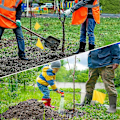 Pikkukuva 5 / 5: Merkintäliput nurmikolle, 30 kpl, PVC pienet liput, merkintäliput nurmikolle, puutarhaliput