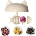 Miniatyrbillede 1 af 5: Mister Le Chat - Katteformet Glas Te Kop med Fisk Formet Te Infuser