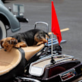 Miniatyrbild 4 av 4: 2 st Små Flaggstång Motorcykelstyre Fäste Flaggstångshållare Flaggstångsfäste
