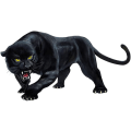 Miniatyrbillede 1 af 5: #Dyre-Sticker Bilsticker Panther Bilsticker 3D Simulation#