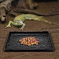 Miniatyrbillede 4 af 4: 1 stk. Skildpadde Foderskål Reptil Madskål Skildpadde Øgle Mad- og Vandskål Reptil Tilbehør