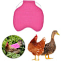 Miniatyrbillede 3 af 5: *Enkelt rem kyllingeforklæde/sadel vest høne and beskyttelse standard kyllingejakker høne forklæder fjerkræ pleje tilbehør 5stk-Rose Red*