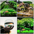Miniatyrbillede 2 af 3: Dekorativ Skildpadde Rampe Slidstærk Skildpadde Dock Husholdnings Solplatform Skildpadde Tilbehør