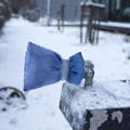 Pikkukuva 5 / 5: 2 kpl Ulkotapinsuojus - Sininen Tuulen- ja Vedenkestävä Suoja