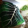 Miniatyrbilde 3 av 5: Grønt Blad Teppe Plysj Teppe Koselig Varmt Plante Kast Tepper Dekorative Sofatepper for Sofa Seng Strand, 150 * 100cm
