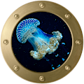 Miniatyrbild 1 av 4: #3D Ubåtslucka väggdekal - Maneter (Diameter: 29cm),#