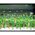 Miniatyrbillede 4 af 5: Kunstige Havalger Vandplanter til Akvarium, Plastik Fisketank Plantedekorationer 10 STK (Grøn)