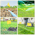 Pikkukuva 3 / 5: Merkintäliput nurmikolle, 30 kpl, PVC pienet liput, merkintäliput nurmikolle, puutarhaliput
