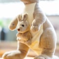 Miniatyrbilde 3 av 5: Mor og sønn kenguru-plysj, australsk kenguru-emulering