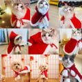 Miniatyrbillede 5 af 5: Juletøj (M) til kæledyr til hund kat juleferie kostume