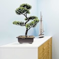 Miniatyrbillede 3 af 4: Kunstig Bonsai Fyrretræ Falsk Potteplante Skrivebordsdisplay Falsk Træ Pottepynt