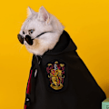 Miniatyrbild 5 av 5: Hund Katt Juldräkter Kapp Djur Halloween Kläder Cospl