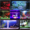 Miniatyrbillede 5 af 5: Akvarium LED Belysning 18cm med Fjernbetjening, RGB Multifarvet L