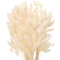 Miniatyrbillede 1 af 5: (Hvid) 60 Tørrede Blomster Stilke Aldrig Visnende Naturlige Dekorationer B