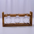 Miniatyrbild 2 av 8: Glasvas i form av ett ekollon, glasbehållare blomkruka med träställ för placering av gröna vattenväxter, lämplig för dekoration av matbord och skrivbord i hemmet