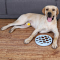 Miniatyrbilde 3 av 7: Slow Feed Dog Bowl Slowly Bowly Fun Interactive Dog Dish For Fast Eaters Prevent Bloating Fun To Use Dogs-Blue