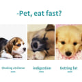 Miniatyrbillede 7 af 7: Langsomt foder til kæledyr, slikkemåtte til hunde, sjovt alternativ til langsomt foder til hunde, snuffle-måtte og hundeskåle, fiskeformet langsomt foder, grøn