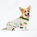 Miniatyrbillede 6 af 6: Hvalpe Pyjamas Kæledyr Jumpsuit Blød Hvalp Rompers Kæledyr Hund Søde Tøj Onesies Hvalp Bodystockings Shape2