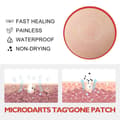 Miniatyrbild 4 av 5: Blusoms Microdarts Tag'gone Patch, neutroera Blusoms Pro Microdarts Taggone Patch Tw