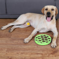 Miniatyrbillede 3 af 7: Langsom foder hund skål langsomt Bowly sjov interaktiv hund skål til hurtige spisere forhindre oppustethed sjov at bruge hunde-grøn