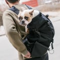 Miniatyrbilde 4 av 7: Hunde bæremeis for små og mellomstore kjæledyr foran justerbar hund bæremeis ryggsekk fullstendig ventilert-svart-L