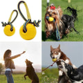 Miniatyrbild 4 av 4: Valp Rolig Träning Boll Tugga Leksaker Spela Hämta Solid med Bärrep Husdjur Hund Leksak/M Kod