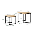 Miniatyrbillede 2 af 8: SoBuy, 2 redeborde | Sofabord | Sofabord sort, FBT42-N Wood
