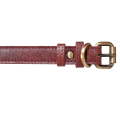 Miniatyrbild 2 av 3: Hundhalsband i äkta läder (XS-XXL) LightBrown Konjak - L