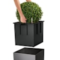 Miniatyrbild 7 av 9: LECHUZA Odlingskruka CUBE 30 ALL-IN-ONE metallisk kolgrå Antracit