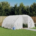 vidaXL Växthus med stålram vit 16 m² 4x4x2 m Vit
