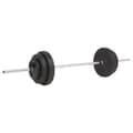 vidaXL Skivstång set 30 kg art