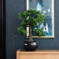 Miniatyrbild 1 av 4: Emerald Konstväxt bonsaiträd fikus mini grön 47 cm 420006 Grön
