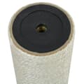 vidaXL Klöspelare för katt 8x30 cm 10 mm beige Beige