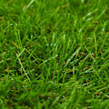Miniatyrbild 2 av 3: vidaXL Konstgräsmatta 1x2 m/40 mm grön Grön