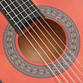 Miniatyrbild 6 av 7: vidaXL Gitarr för nybörjare och barn klassisk 1/2 34" amerikansk lind Brun