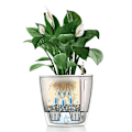 Miniatyrbild 3 av 9: LECHUZA Blomkruka CLASSICO LS 28 ALL-IN-ONE vit högglans 16040 Vit