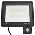 Miniatyrbild 4 av 10: vidaXL Strålkastare med sensor 100 W LED kallvit Svart