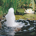Miniatyrbild 6 av 10: Ubbink Dammpump Elimax 9000 1351306 Svart