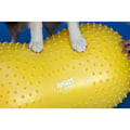 Miniatyrbild 3 av 4: FitPAWS Balansboll för husdjur Trax Peanut 40 cm gul Gul