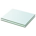 vidaXL Hyllplan 2 st glas genomskinlig 20x20 cm Transparent