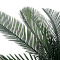 Miniatyrbild 2 av 2: vidaXL Konstväxt Cycas med kruka 125 cm grön Grön