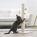 Miniatyrbild 4 av 5: Kerbl Klöspelare för katt Opal Maxi 78 cm beige Beige