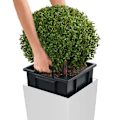Miniatyrbild 2 av 7: LECHUZA Blomkruka Cubico 30 ALL-IN-ONE vit högglans 18181 Vit